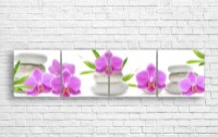 Картина ArtDesign Spa stones and orchid 205x50cm (С-10257)