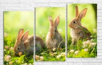 Pictură ArtDesign Spring bunnies 135х80cm (F-10057)