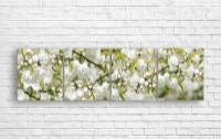 Pictură ArtDesign Spring flowers 205x50cm (C-10299)