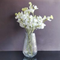 Vaza Casa Masa Armonia 23x7cm (BB530) imaginea #2 — magazin online Desire.md