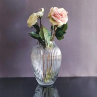 Vaza Casa Masa Armonia 25x9cm (BB680) imaginea #2 — magazin online Desire.md