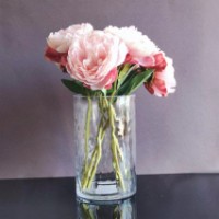 Ваза Casa Masa Frosted Cylinder 20x13cm (BB672-20) фото №2 — интернет-магазин Desire.md