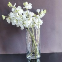 Vaza Casa Masa Frosted Cylinder 25x13cm (BB672-25) imaginea #2 — magazin online Desire.md