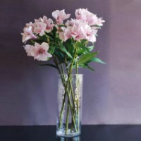 Ваза Casa Masa Frosted Cylinder 30x13cm (BB672-30) фото №2 — интернет-магазин Desire.md