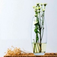 Vaza Pasabahce Botanica 26cm (43966) imaginea #3 — magazin online Desire.md