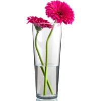 Vaza Pasabahce Botanica Flare 26cm (43177) imaginea #3 — magazin online Desire.md