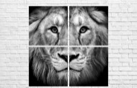 Pictură ArtDesign The Lion King 102x102cm (F-10115)