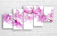 Pictură ArtDesign The orchid has blossomed 140x68cm (C-10104)