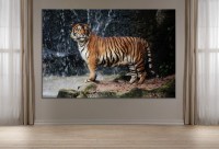 Картина ArtDesign Tiger at the waterfall 45x68cm (FJ-10007)