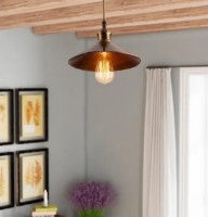 Люстра Trendy Berceste N-658 24x31x24cm GTR002518 фото №3 — интернет-магазин Desire.md