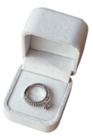 Кольцо Iris Wish s.20 Silver (AV-762)