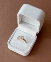 Кольцо Iris Wish s.19 Gold (328)