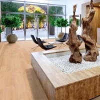  imaginea #2 — magazin online Desire.md