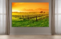 Pictură ArtDesign Vineyard at sunset 45x68cm (FP-10003)
