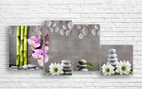 Pictură ArtDesign White Gerbera and SPA Stones 147x65cm (Q-10024)