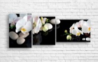 Pictură ArtDesign White orchid 120x50cm (C-10164)