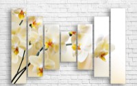 Pictură ArtDesign White orchid 135x89cm (C-10102)