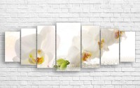 Pictură ArtDesign White orchid 182x70cm (С-10256)