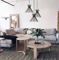 Люстра Trendy Kirpi 3085 63x128x30cm GTR002625 фото №3 — интернет-магазин Desire.md