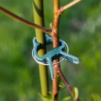 Зажимы для растений Profmet 385500 фото №4 — интернет-магазин Desire.md