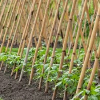 Опора для растений Profmet 385617 фото №3 — интернет-магазин Desire.md