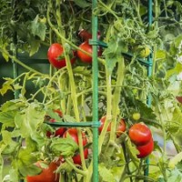 Опора для растений Profmet 385623 фото №3 — интернет-магазин Desire.md