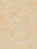 Rolete textile Delfa СРШ-77012 43x170cm imaginea #4 — magazin online Desire.md