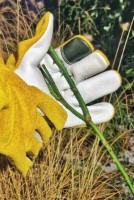 Перчатки для работы Flo 74144 фото №4 — интернет-магазин Desire.md