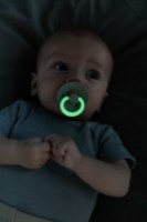 Suzeta BIBS De Lux Sage 0-36m (1010257C) imaginea #2 — magazin online Desire.md