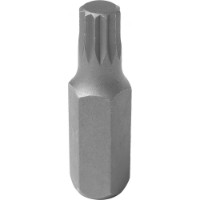 Bita King Tony 163606M