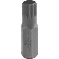 Bita King Tony 163609M