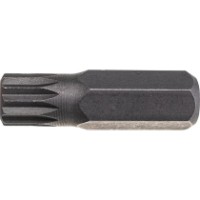 Bita King Tony 163610M