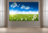 Pictură ArtDesign Wild flowers 45x70cm (FP-10007)