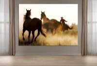 Pictură ArtDesign Wild horses 45x64cm (FJ-10003)