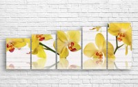 Pictură ArtDesign Yellow Orchid 161x60cm (C-10230)