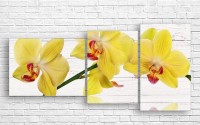 Pictură ArtDesign Yellow orchids 125x60cm (C-10213)