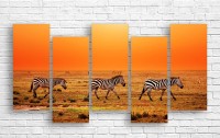 Pictură ArtDesign Zebras 170x87cm (F-10106)