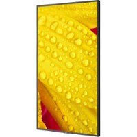 Монитор Nec M651-2 фото №5 — интернет-магазин Desire.md