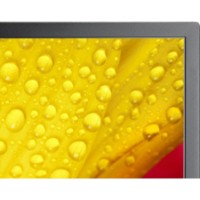 Монитор Nec M651-2 фото №7 — интернет-магазин Desire.md