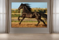 Картина ArtDesign Freedom in movement 45x64cm (FJ-10004)