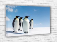 Pictură ArtDesign Northern Harmony 45x73cm (FJ-10008)