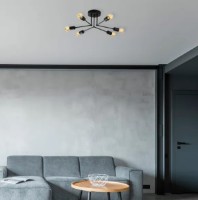 Люстра Trendy Vrabie 1231 60x16x60cm GTR002751 фото №3 — интернет-магазин Desire.md