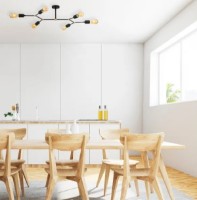 Люстра Trendy Vrabie 1242 95x20x48cm GTR002763 фото №3 — интернет-магазин Desire.md