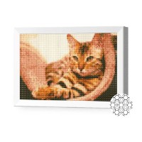 Pictura cu diamante după numere Art Gallery Premium Pisică Tigrată 20x30cm (JS25465)