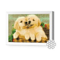 Pictura cu diamante după numere Art Gallery Premium Catelusi labrador 20x30cm (JS26269)