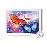 Pictura cu diamante după numere Art Gallery Premium 20x30cm Buterflys (JS24623)