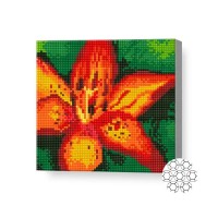 Алмазная картина по номерам Art Gallery Premium Amber Lily 20x20cm (BJ206)