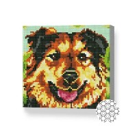 Алмазная картина по номерам Art Gallery Premium Brown Dog 20x20cm (BJ583)