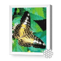 Pictura cu diamante după numere Art Gallery Premium Butterfly On Leaves 20x30cm (JS24637)
