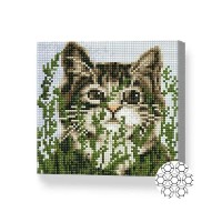 Алмазная картина по номерам Art Gallery Premium Cat among the grass 20x20cm (BJ1152)